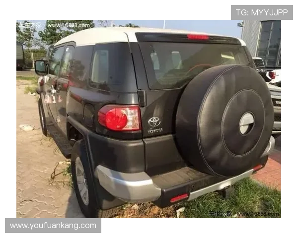 武汉羽毛球队在洲际杯积分榜上以91分稳居第一名展现强劲实力