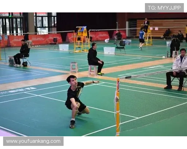 武汉羽毛球队在欧锦赛中的战术分析与表现评估