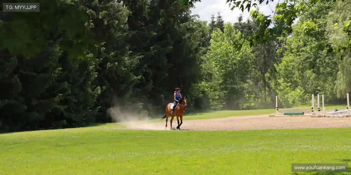 🎁 周边好物,把赛场带回家!